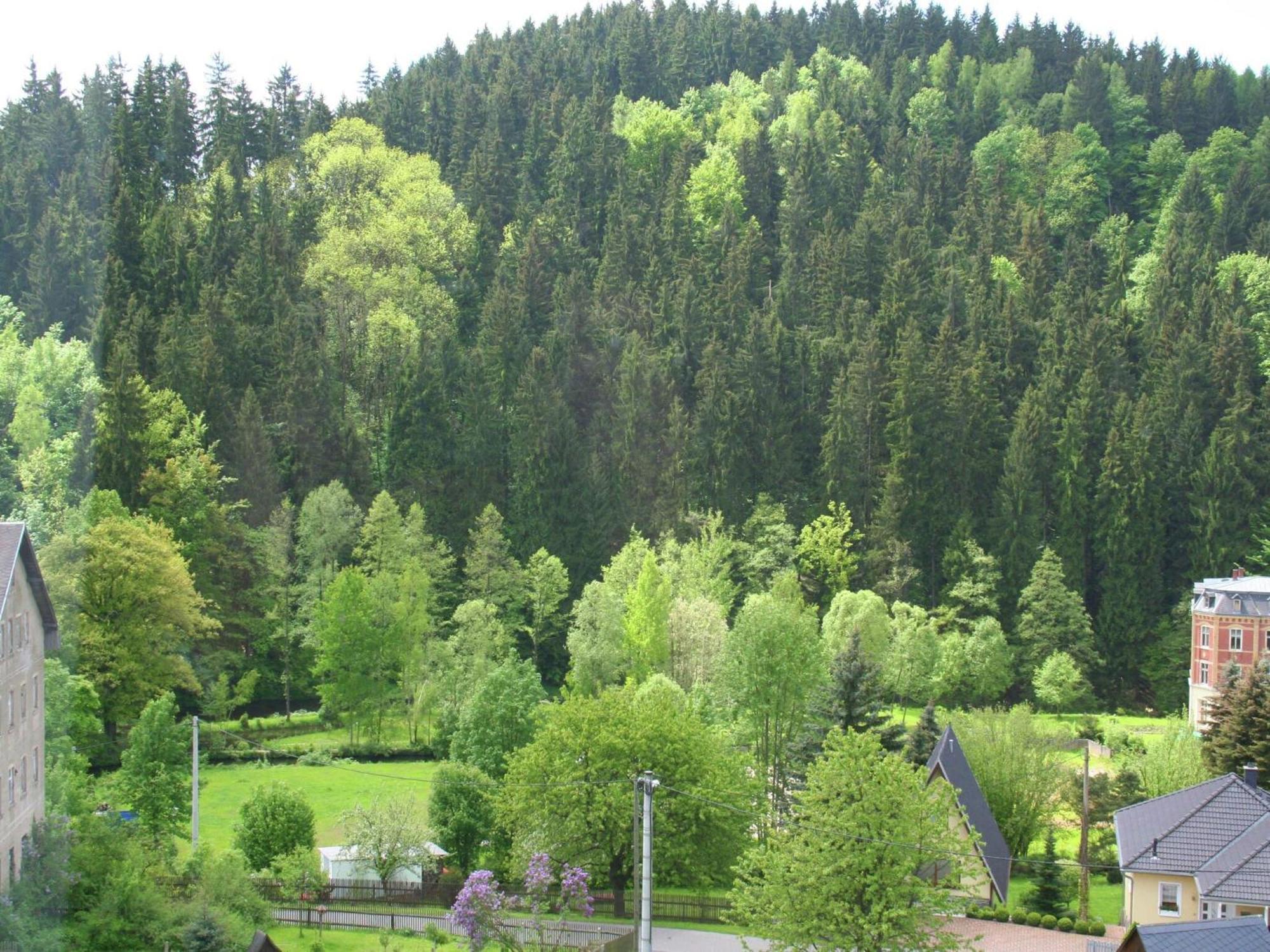 Alluring Villa In Grunhainichen Borstendorf With Garden Leubsdorf ภายนอก รูปภาพ