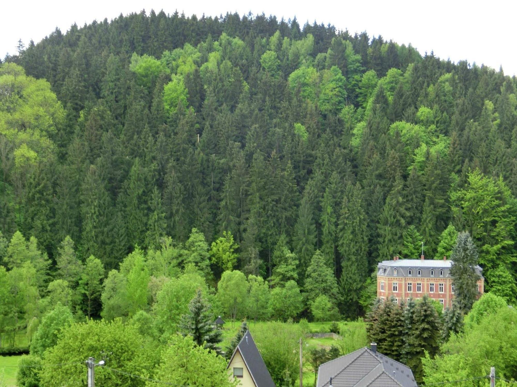 Alluring Villa In Grunhainichen Borstendorf With Garden Leubsdorf ภายนอก รูปภาพ