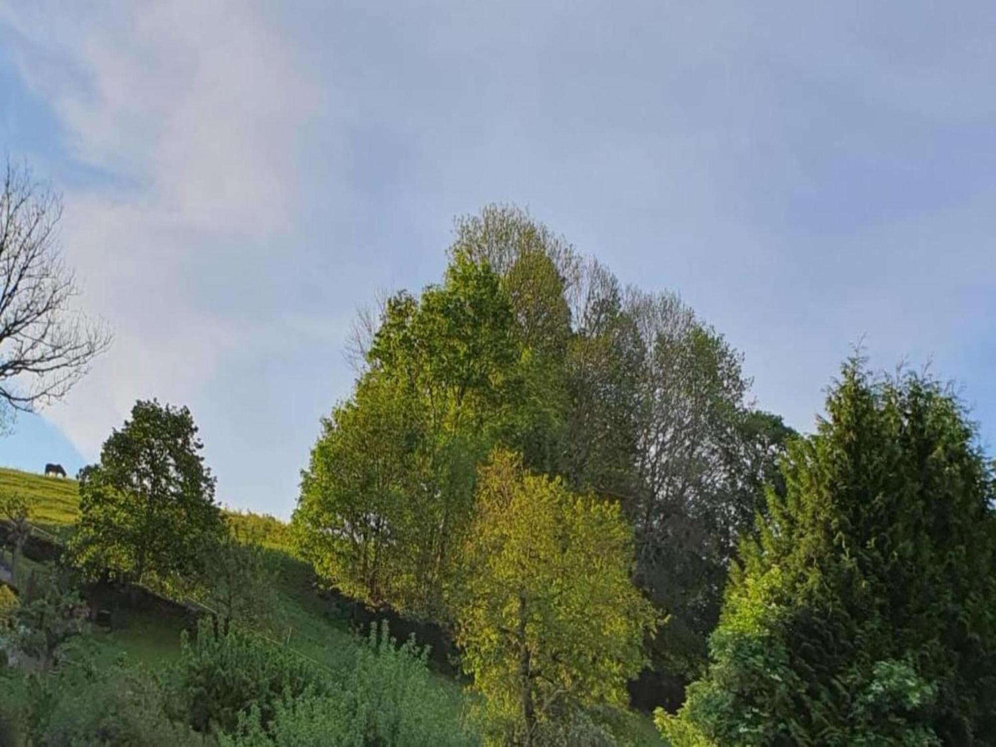 Alluring Villa In Grunhainichen Borstendorf With Garden Leubsdorf ภายนอก รูปภาพ